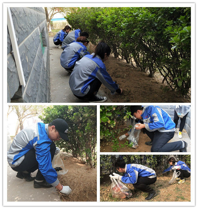 布洛爾智能落實環保行動 布洛爾智能落實環保行動