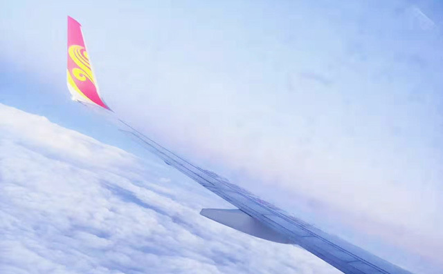 飛回濟南 飛回濟南